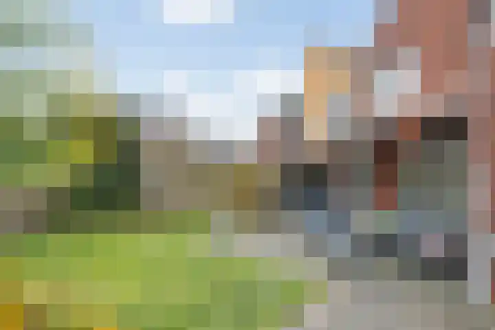 Braamsluiper 13 Olst thumbnail 29