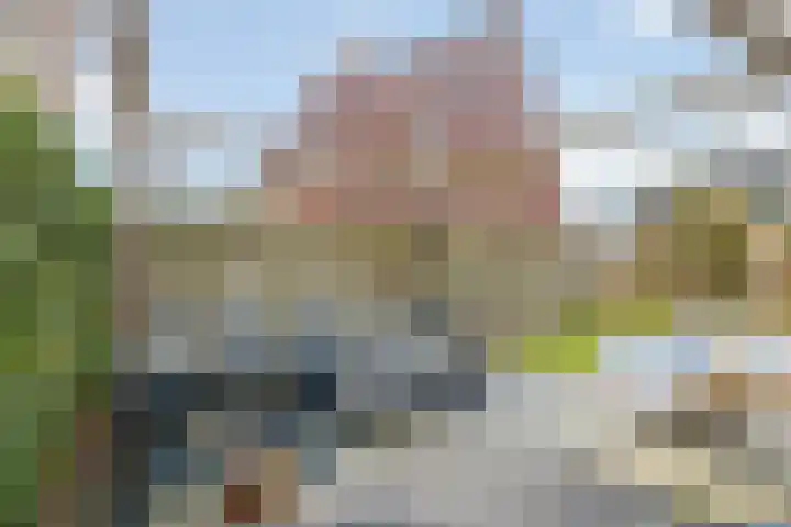 Braamsluiper 13 Olst thumbnail 34
