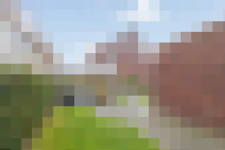 Braamsluiper 13 Olst thumbnail 35