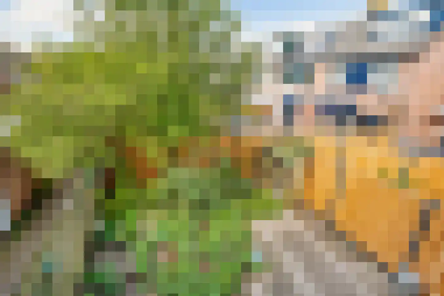 Braamsluiper 3 Maartensdijk thumbnail 19
