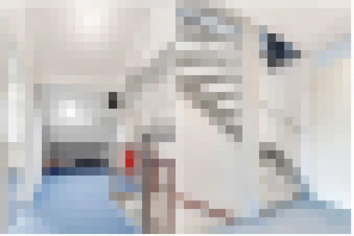 Braamsluiper 3 Maartensdijk thumbnail 27