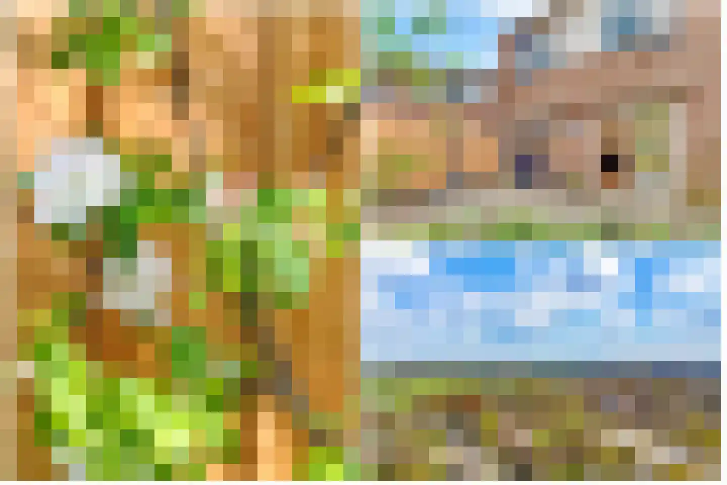 Braamsluiper 3 Maartensdijk thumbnail 33