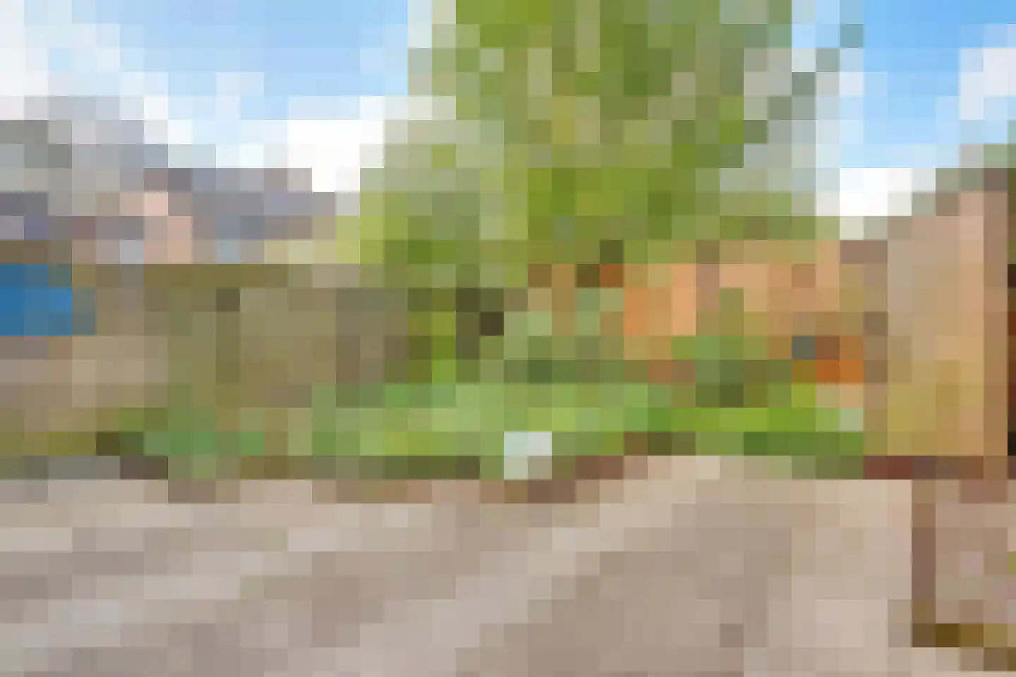 Braamsluiper 3 Maartensdijk thumbnail 34