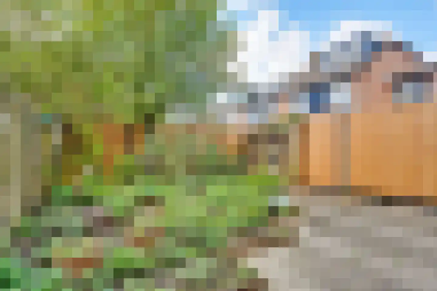 Braamsluiper 3 Maartensdijk thumbnail 35
