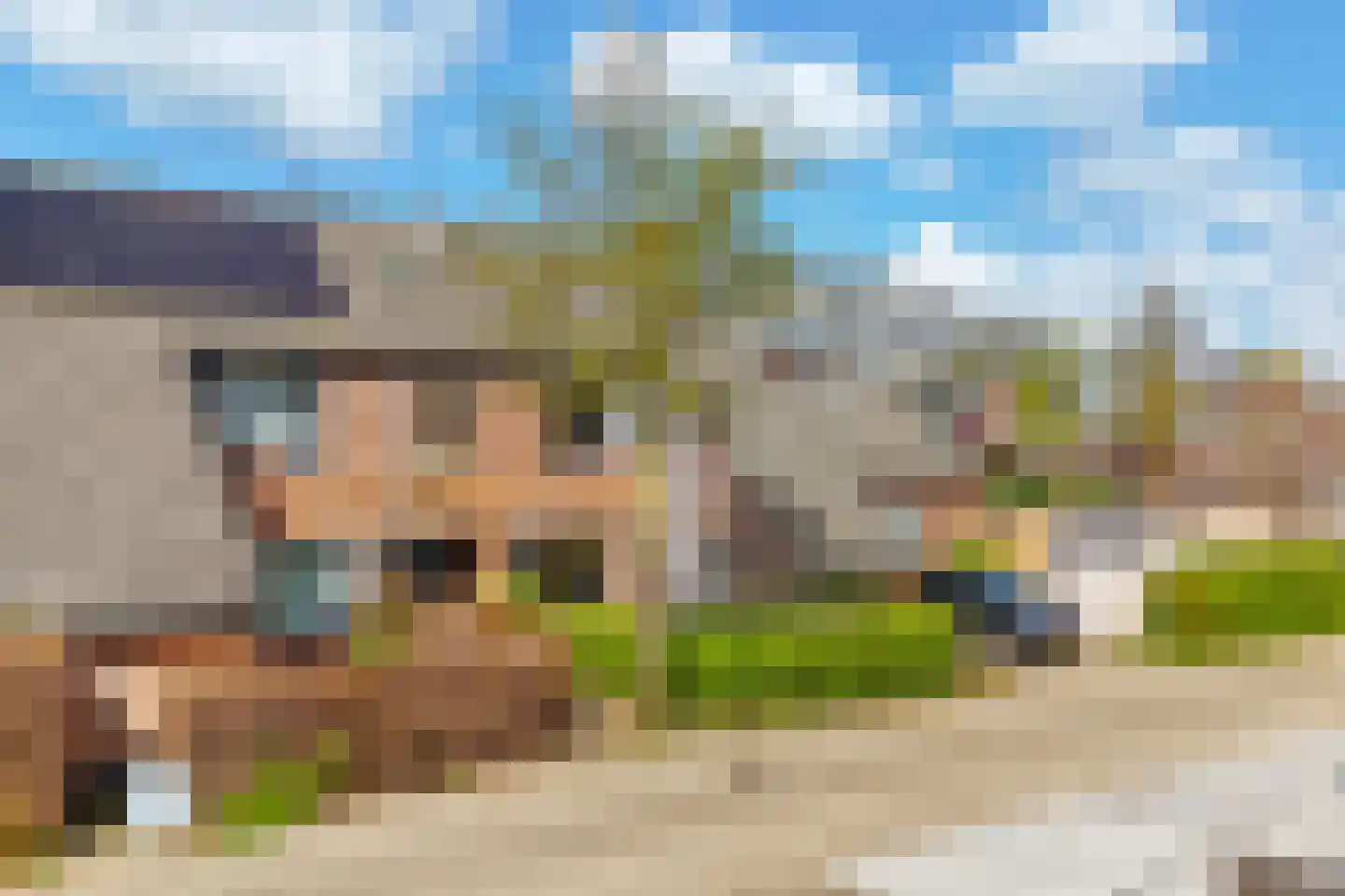 Braamsluiper 3 Maartensdijk thumbnail 38