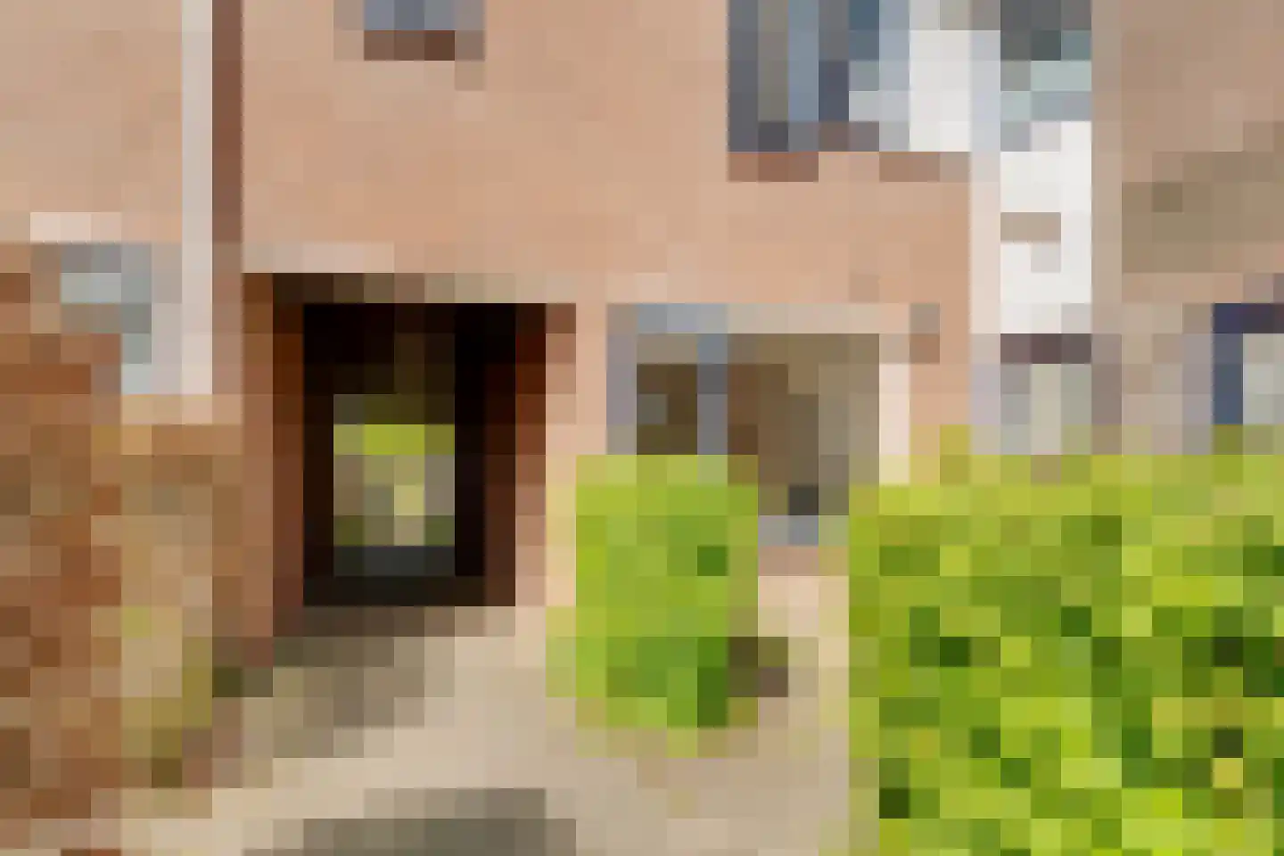 Braamsluiper 3 Maartensdijk thumbnail 39
