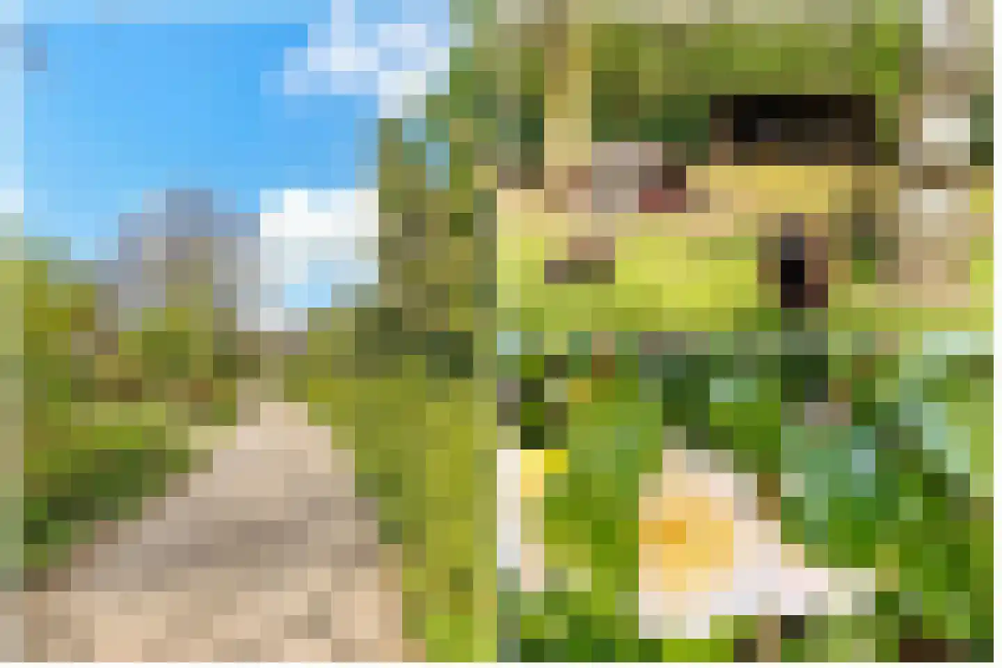 Braamsluiper 3 Maartensdijk thumbnail 40