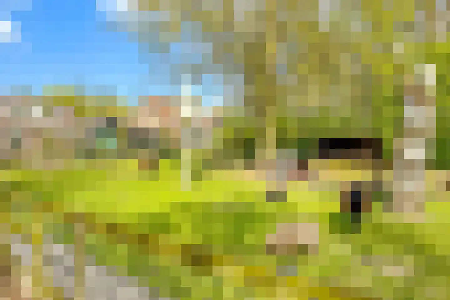 Braamsluiper 3 Maartensdijk thumbnail 42
