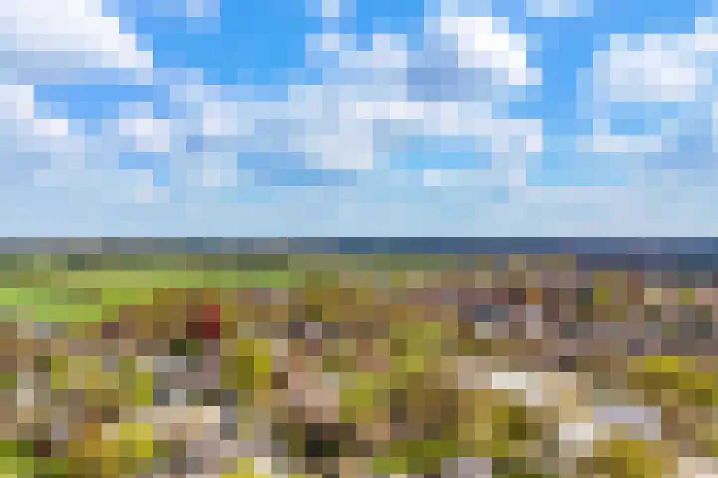 Braamsluiper 3 Maartensdijk thumbnail 46