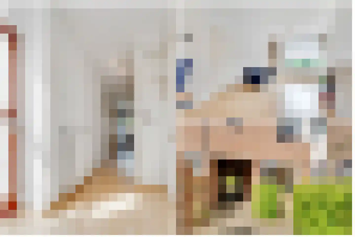 Braamsluiper 3 Maartensdijk thumbnail 6