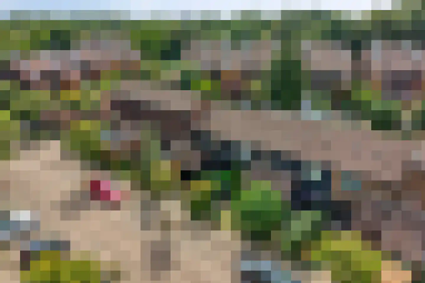 Braamsluiper 47 Nieuwegein thumbnail 24