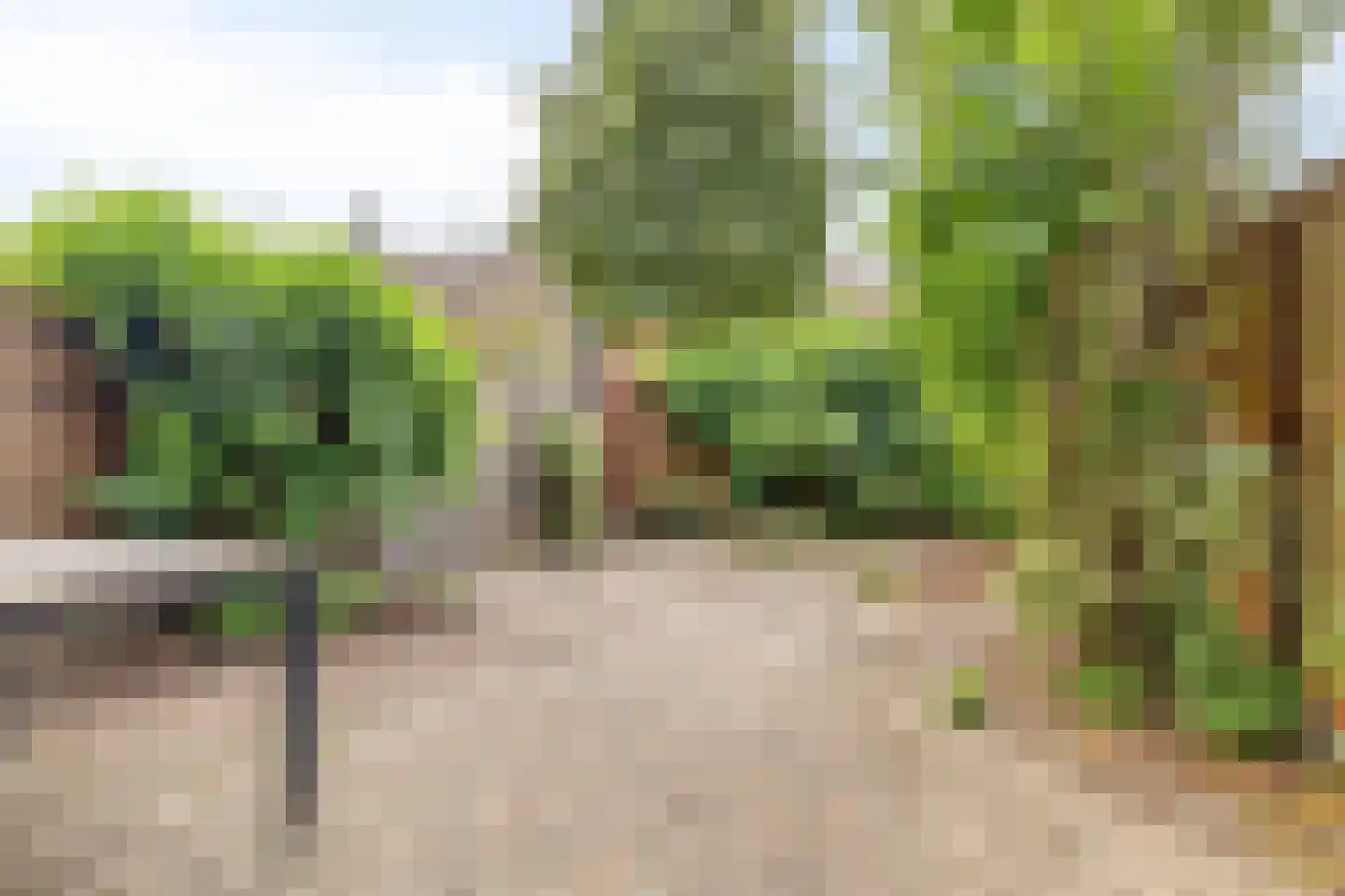 Braamsluiper 47 Nieuwegein thumbnail 8