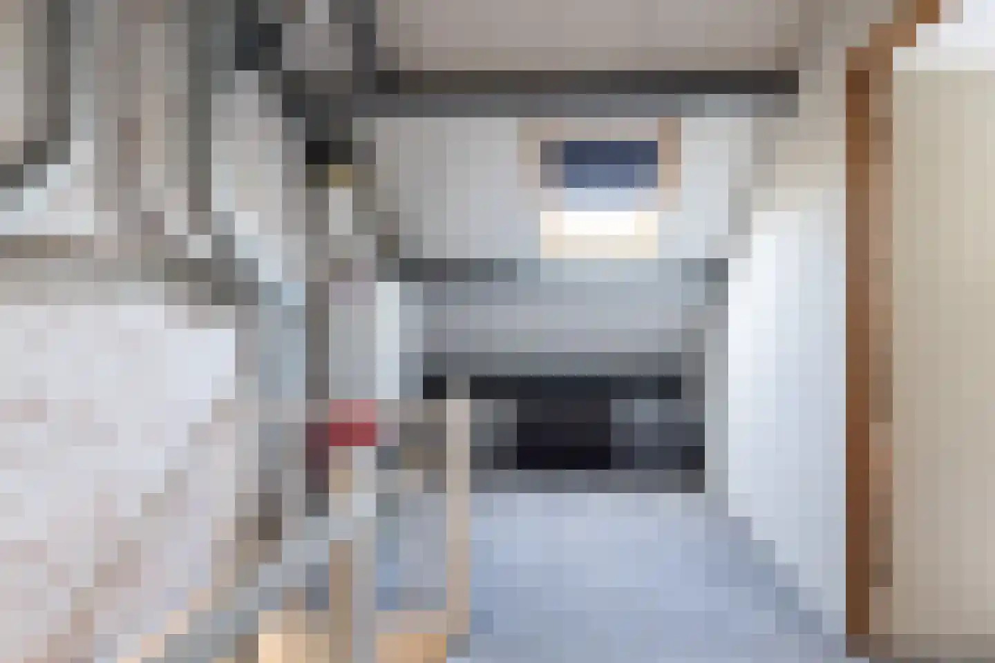 Braamsluiper 5 Maartensdijk thumbnail 24