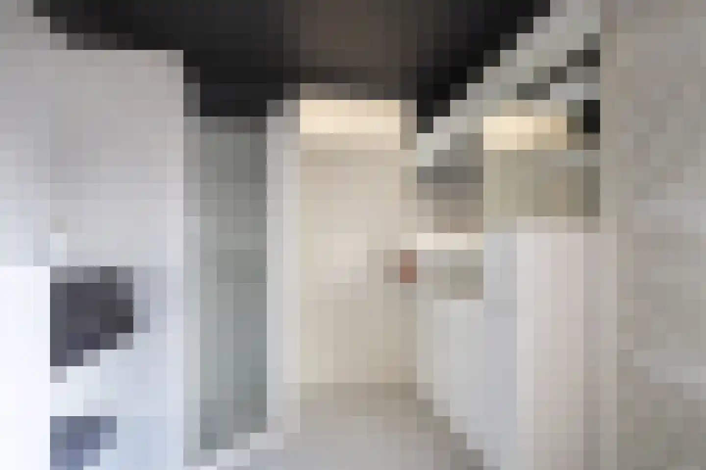 Braamsluiper 5 Maartensdijk thumbnail 24