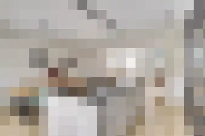 Braamsluiper 6 Nieuwegein thumbnail 7
