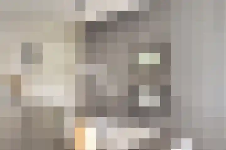 Braamsluiper 6 Nieuwegein thumbnail 8