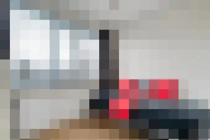 Braamspinner 38 Meppel thumbnail 32
