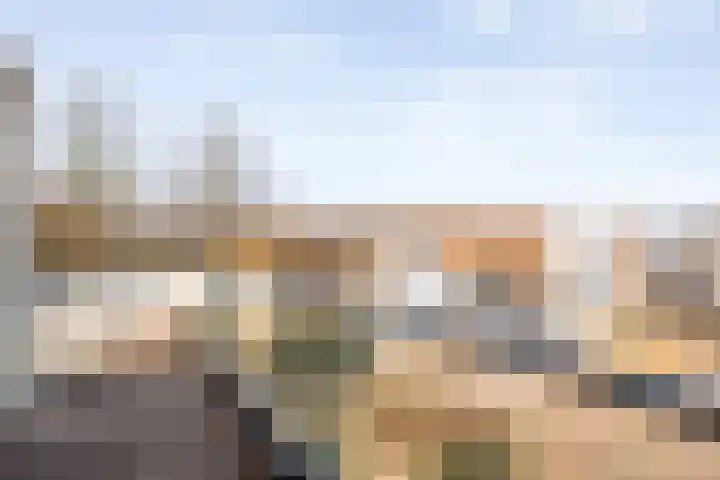 Braamspinner 38 Meppel thumbnail 36