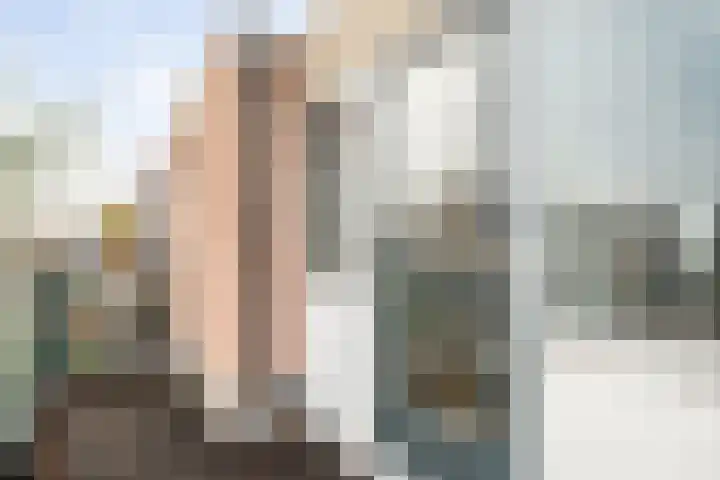 Braamspinner 38 Meppel thumbnail 37