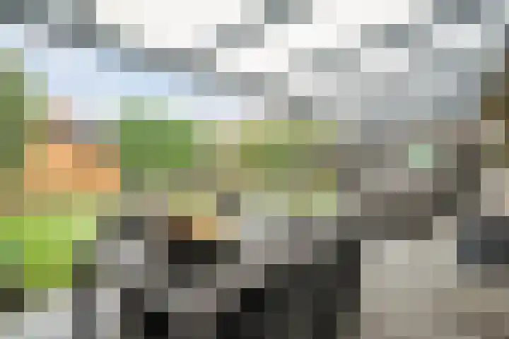 Braamspinner 38 Meppel thumbnail 38