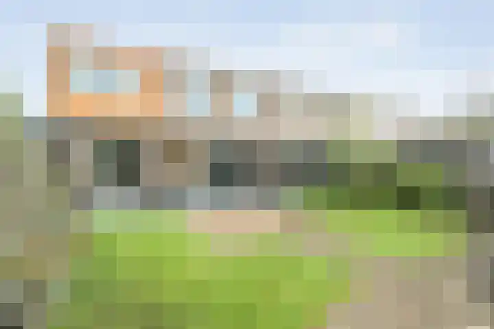 Braamspinner 38 Meppel thumbnail 4