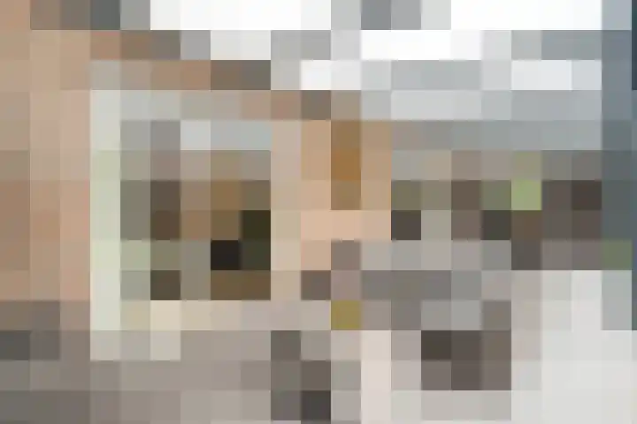 Braamspinner 38 Meppel thumbnail 40