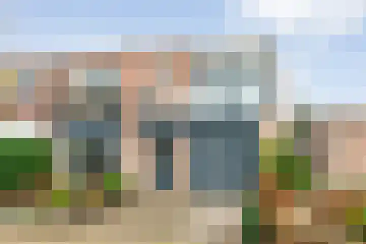 Braamspinner 38 Meppel thumbnail 45