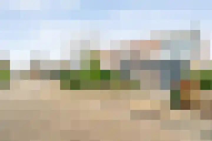 Braamspinner 38 Meppel thumbnail 46