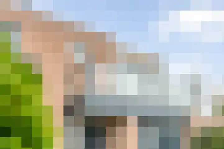 Braamspinner 38 Meppel thumbnail 49