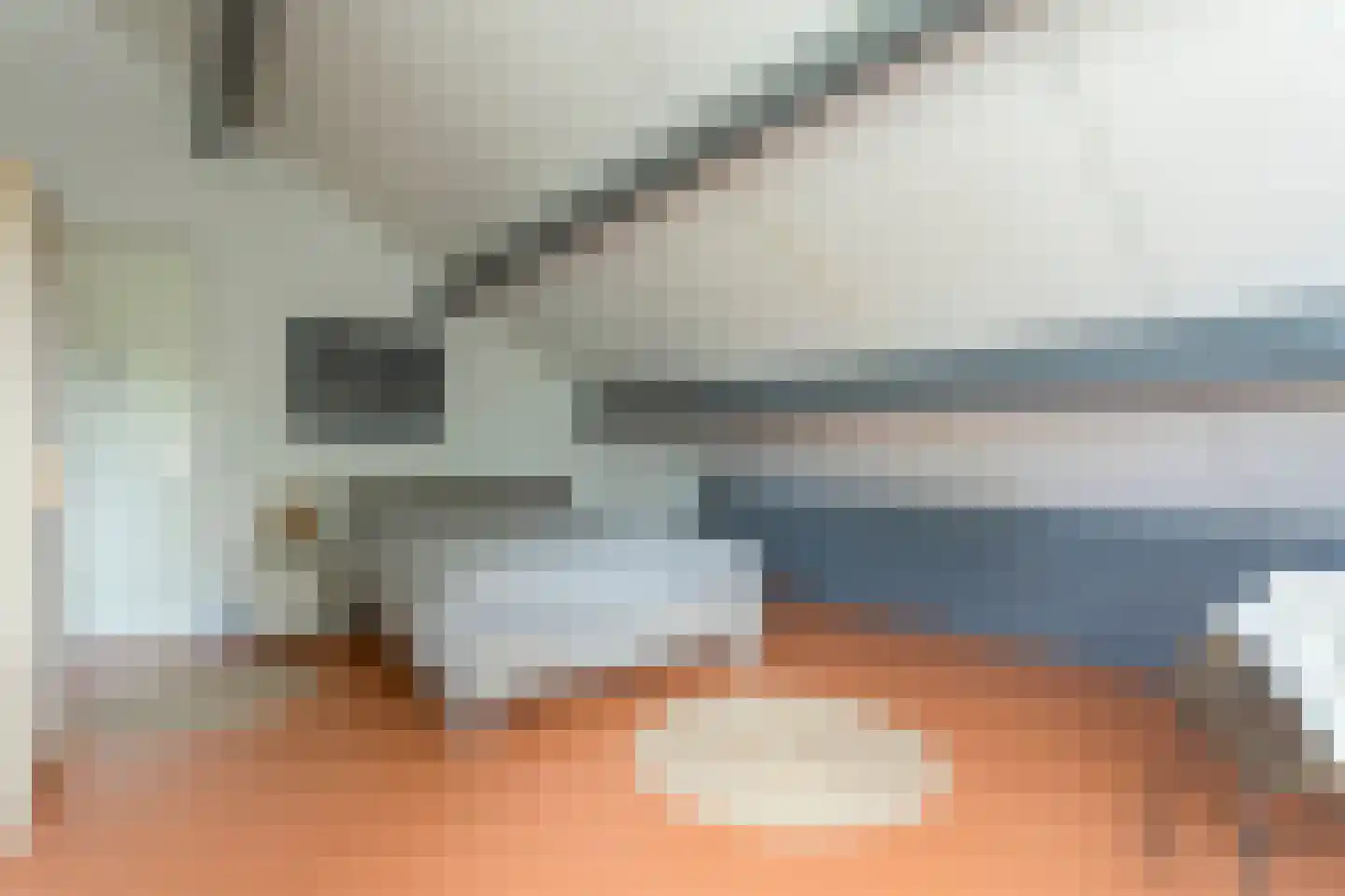Braamspinner 62 Meppel thumbnail 23