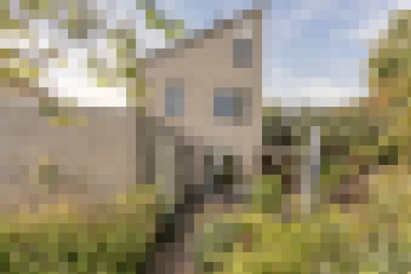 Braamspinner 62 Meppel thumbnail 30