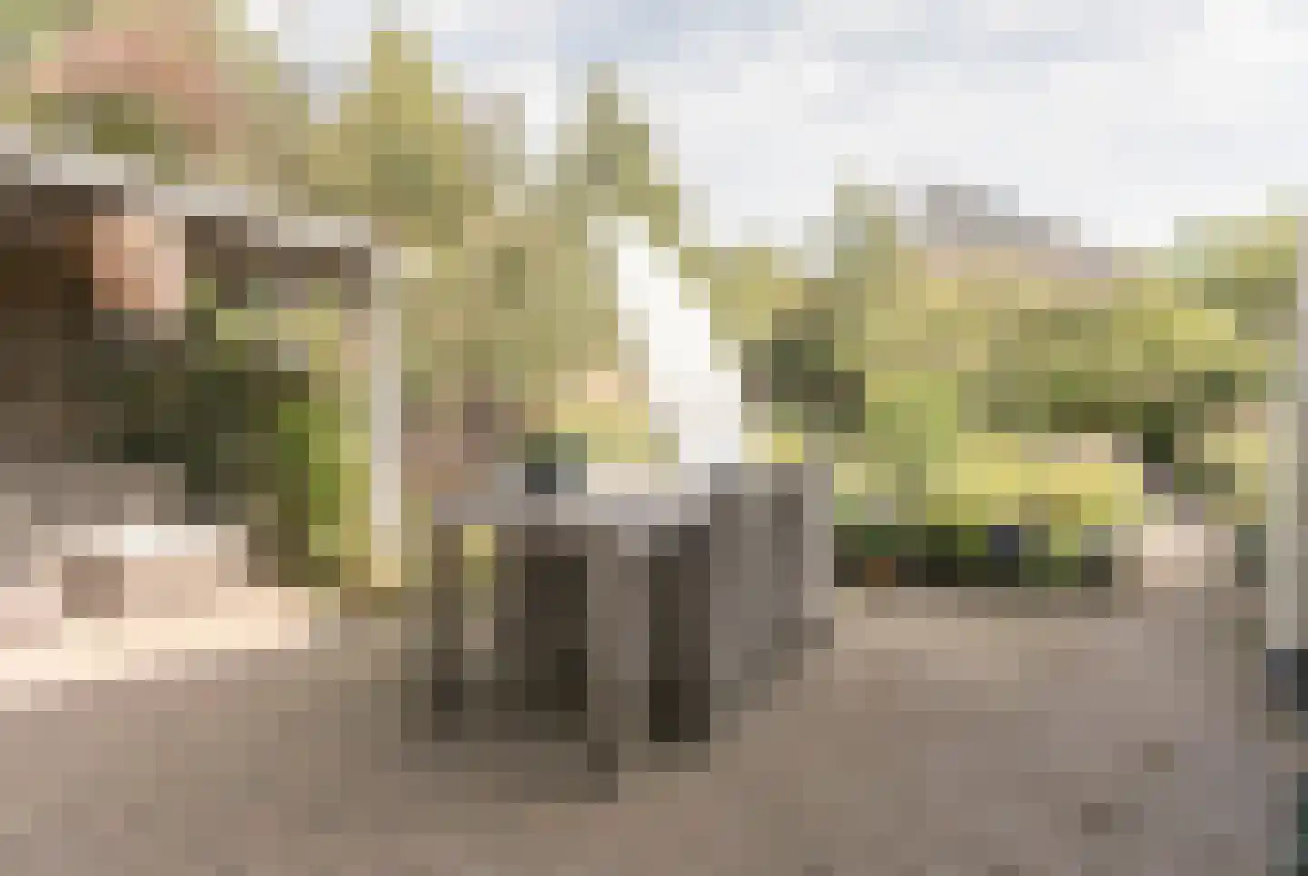 Braamspinner 62 Meppel thumbnail 31