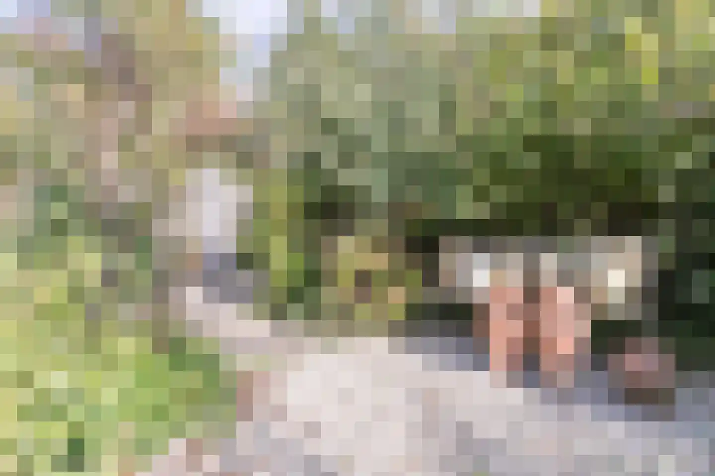 Braamspinner 62 Meppel thumbnail 33