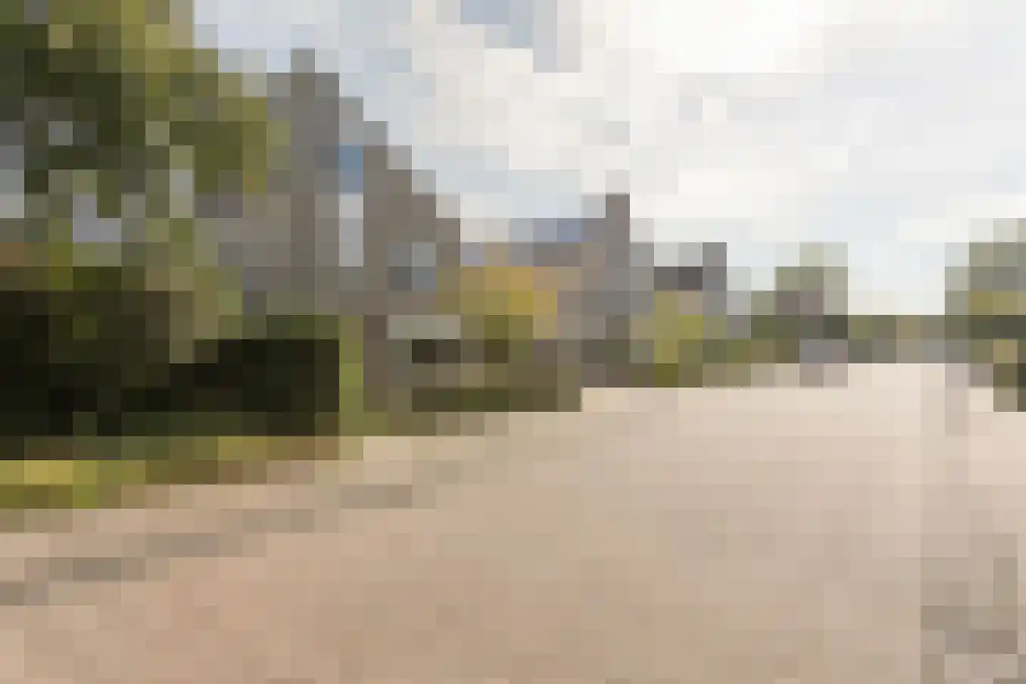 Braamspinner 62 Meppel thumbnail 35