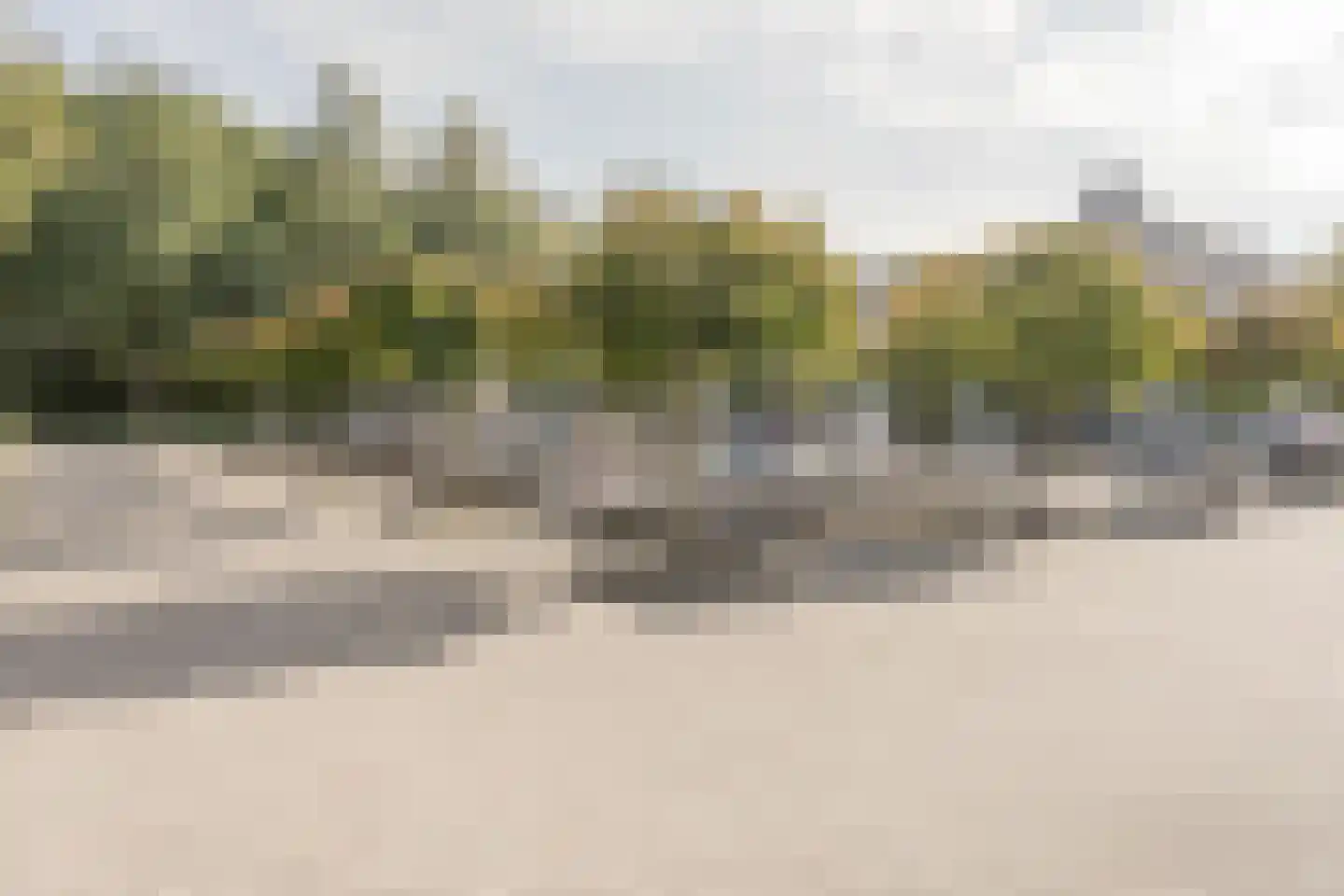 Braamspinner 62 Meppel thumbnail 36