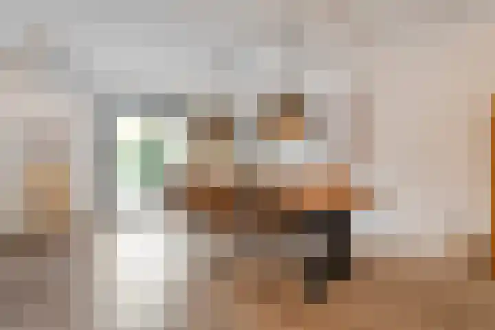 Braamspinner 9 Meppel thumbnail 11