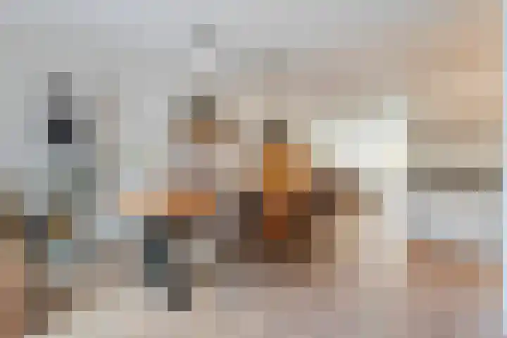 Braamspinner 9 Meppel thumbnail 13