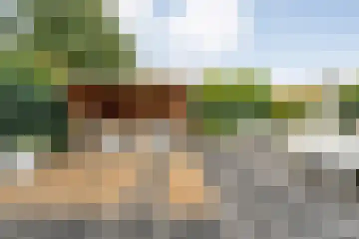 Braamspinner 9 Meppel thumbnail 32