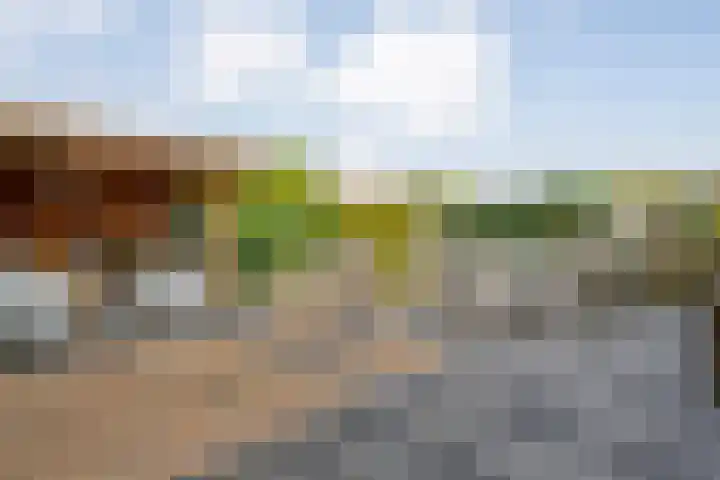 Braamspinner 9 Meppel thumbnail 33