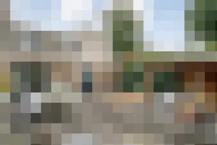Braamspinner 9 Meppel thumbnail 37