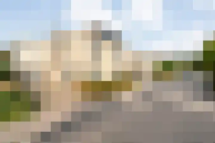 Braamspinner 9 Meppel thumbnail 38