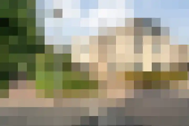 Braamspinner 9 Meppel thumbnail 39