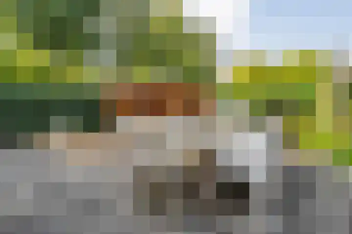 Braamspinner 9 Meppel thumbnail 4
