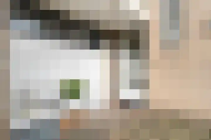 Braamspinner 9 Meppel thumbnail 41