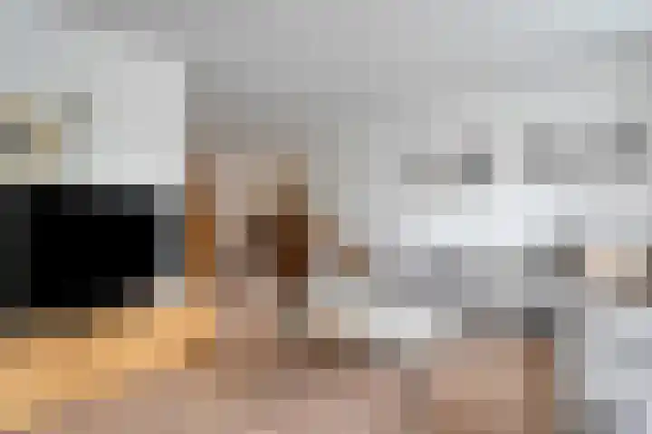 Braamspinner 9 Meppel thumbnail 7
