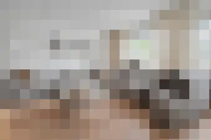 Braamspinner 9 Meppel thumbnail 8