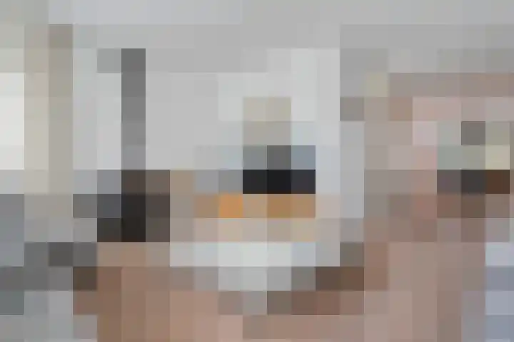 Braamspinner 9 Meppel thumbnail 9
