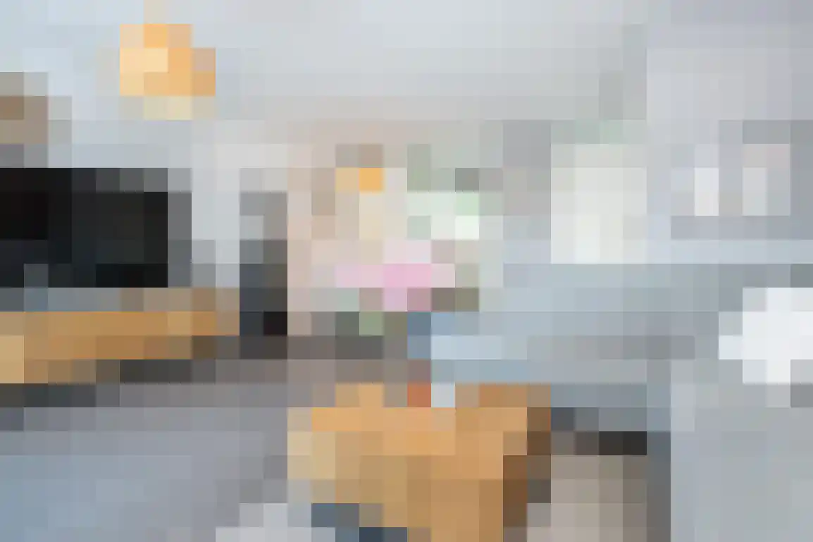 Braamstove 14 Ouddorp thumbnail 13