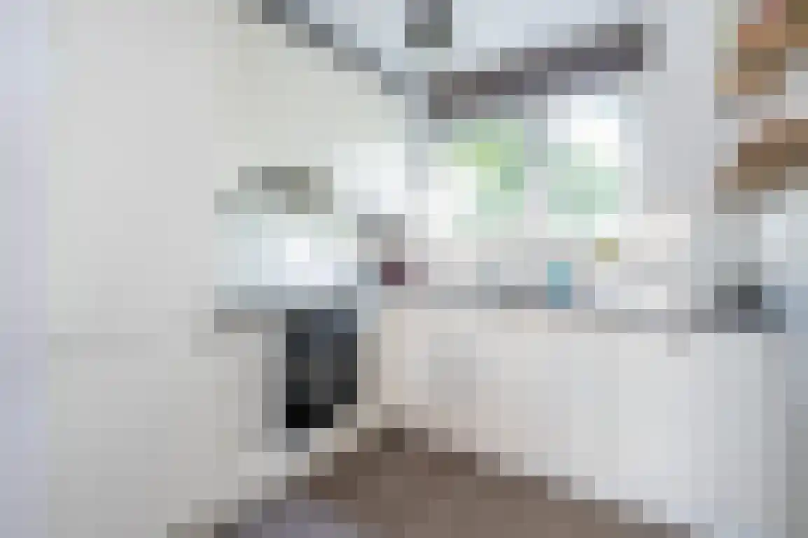 Braamstove 14 Ouddorp thumbnail 15