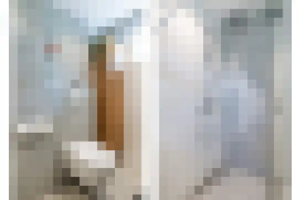 Braamstove 14 Ouddorp thumbnail 28